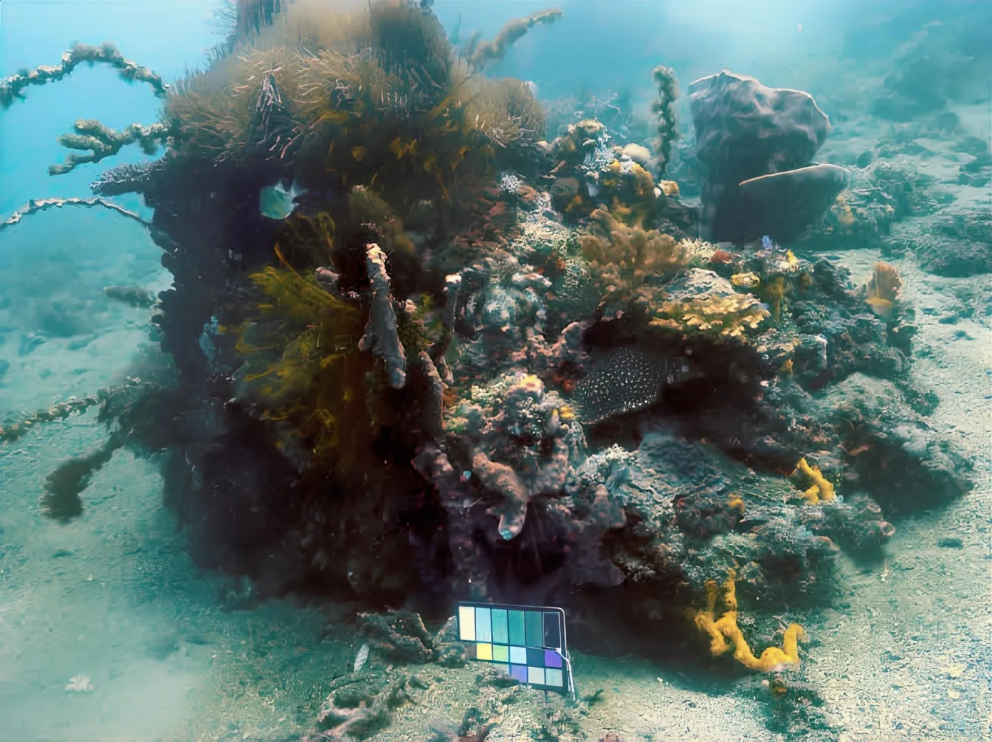 EVAP After Enhancement